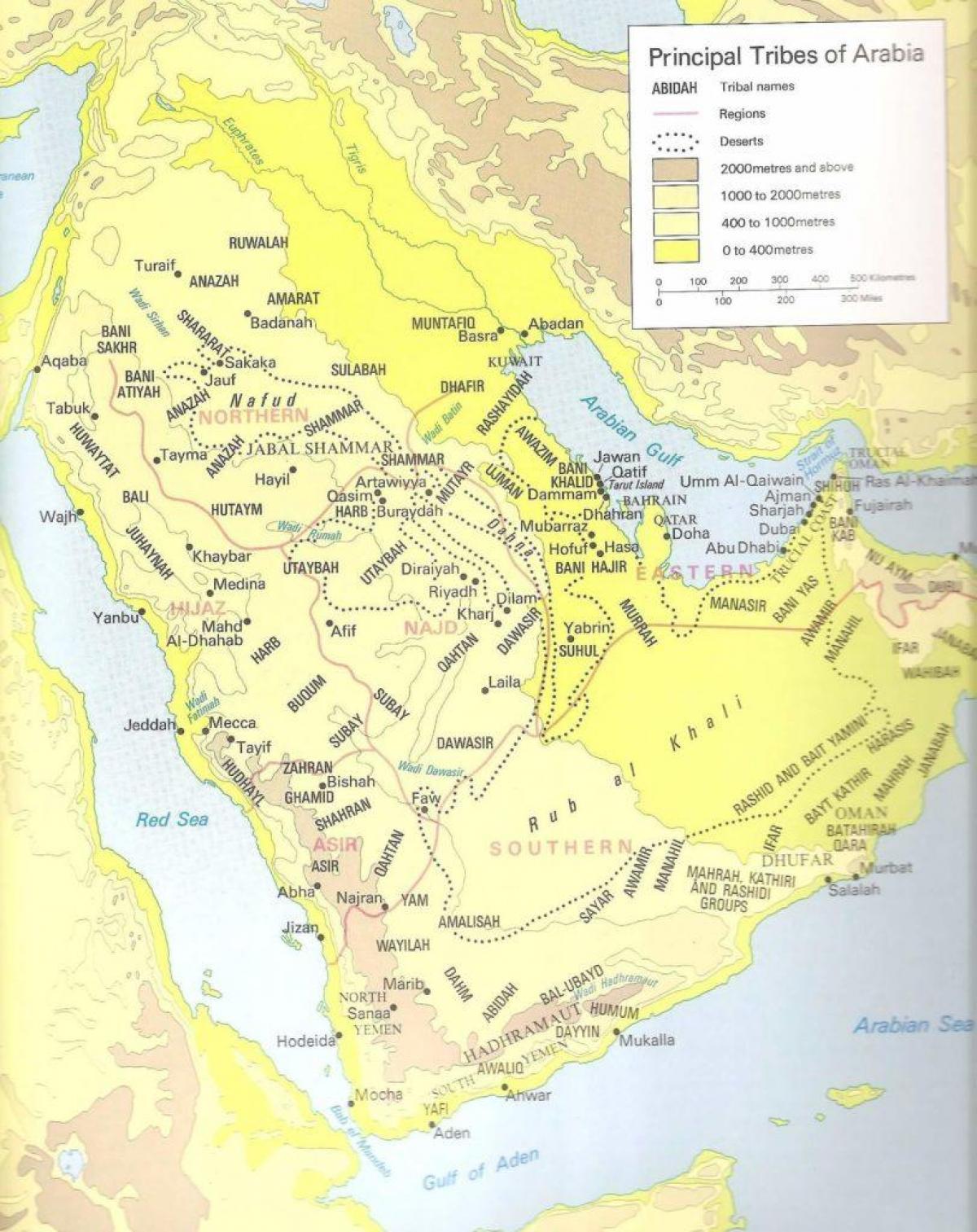 Kat jeyografik nan Arabi Saoudit branch fanmi